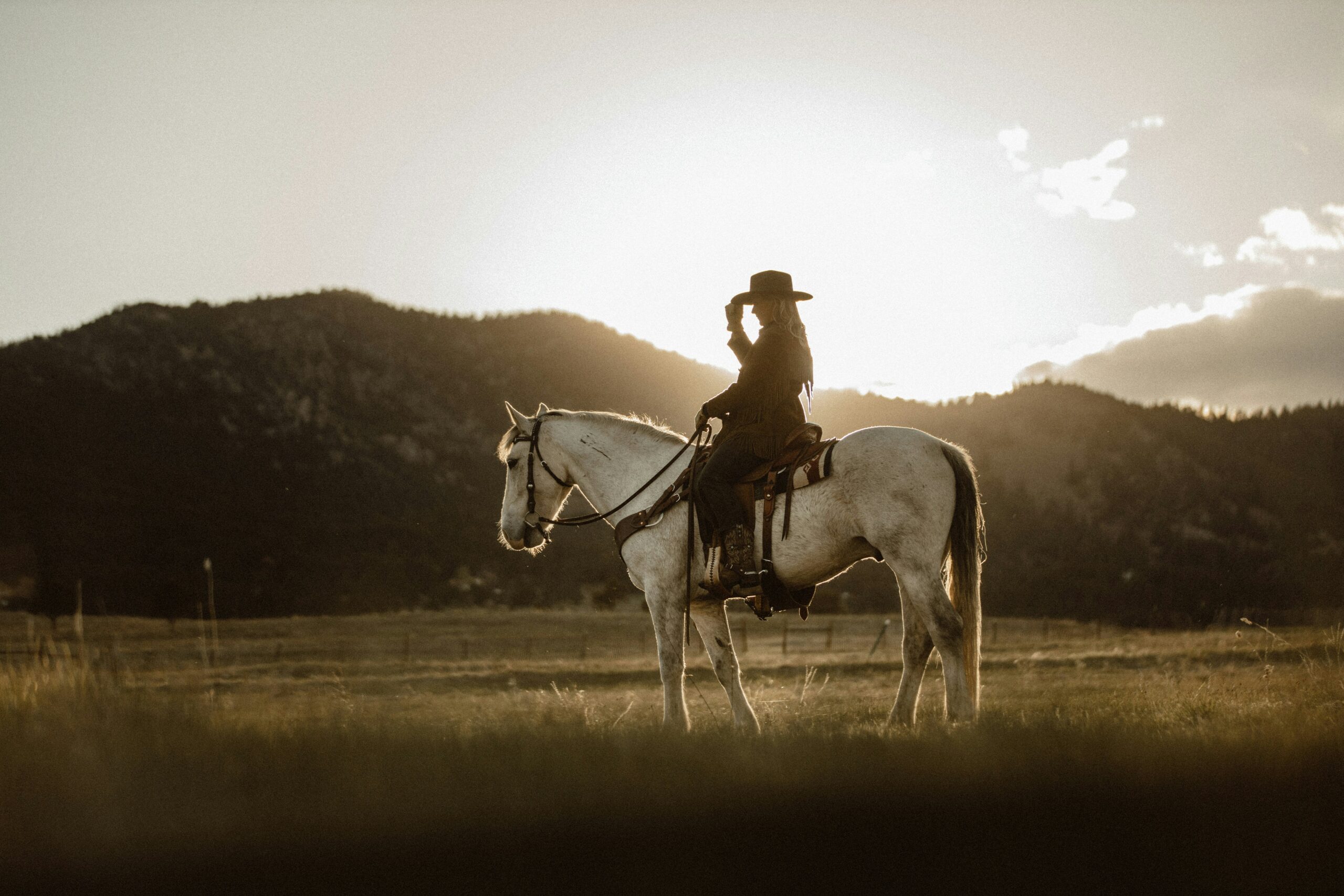 Cowboy auf Schimmel im Sonnenuntergang